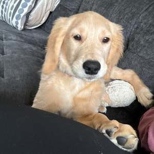 Meet your Posher, Aleksandra